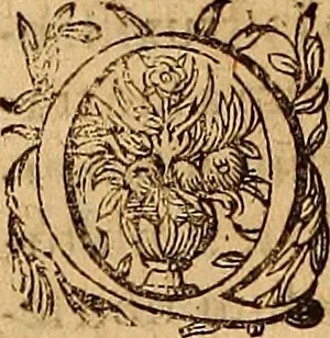 An illustration from Hispaniae illvstratæ; sev. Rervm. vrbivmq. Hispaniæ, Lvsitaniæ, Æthiopiæ et Indiæ scriptores varii., 1603, leaf 311