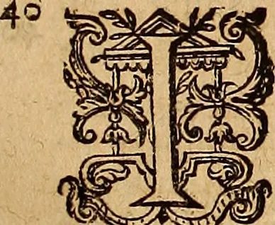 An illustration from Hispaniae illvstratæ; sev. Rervm. vrbivmq. Hispaniæ, Lvsitaniæ, Æthiopiæ et Indiæ scriptores varii., 1603, leaf 312