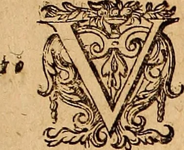 An illustration from Hispaniae illvstratæ; sev. Rervm. vrbivmq. Hispaniæ, Lvsitaniæ, Æthiopiæ et Indiæ scriptores varii., 1603, leaf 314