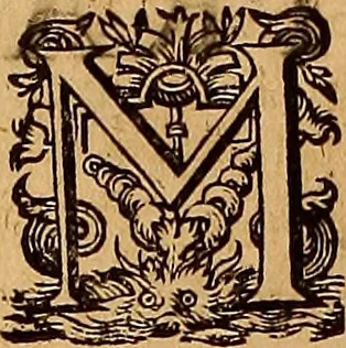 An illustration from Hispaniae illvstratæ; sev. Rervm. vrbivmq. Hispaniæ, Lvsitaniæ, Æthiopiæ et Indiæ scriptores varii., 1603, leaf 327