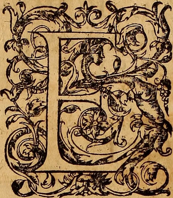An illustration from Hispaniae illvstratæ; sev. Rervm. vrbivmq. Hispaniæ, Lvsitaniæ, Æthiopiæ et Indiæ scriptores varii., 1603, leaf 343