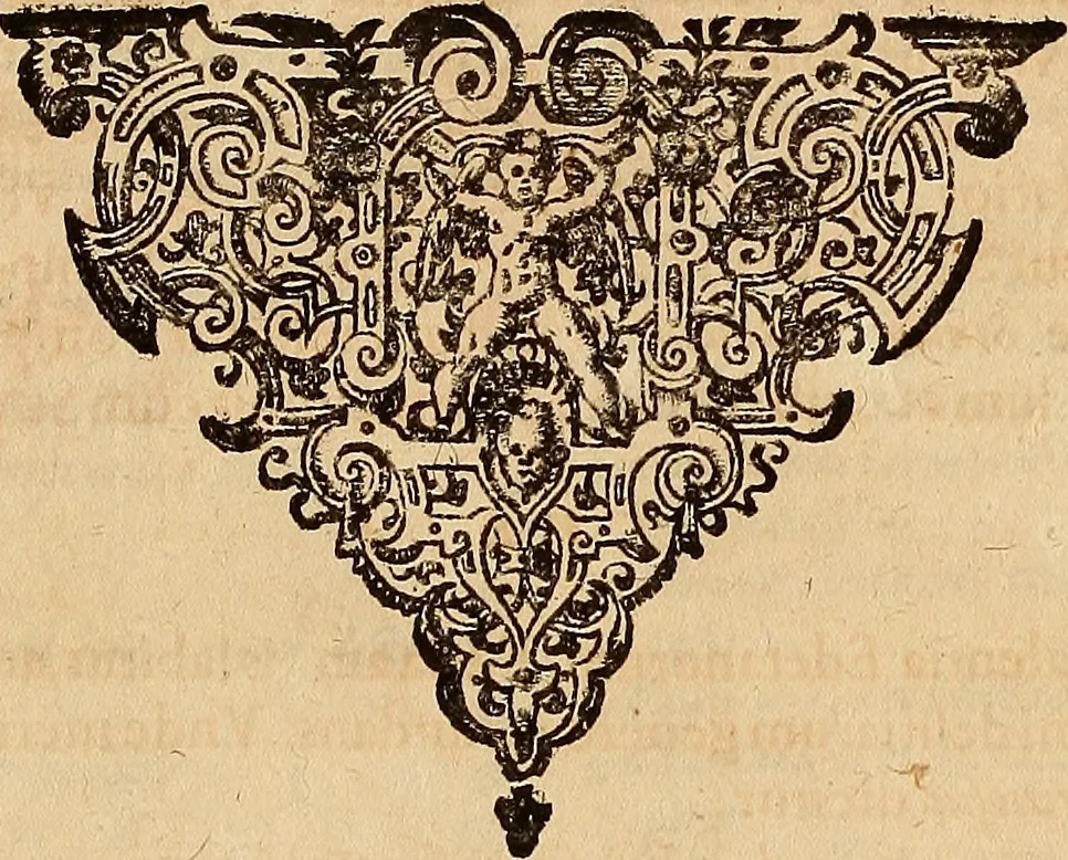 An illustration from Hispaniae illvstratæ; sev. Rervm. vrbivmq. Hispaniæ, Lvsitaniæ, Æthiopiæ et Indiæ scriptores varii., 1603, leaf 448