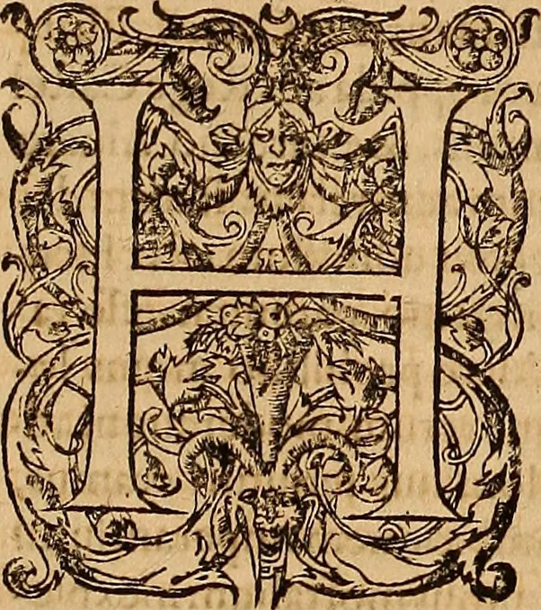An illustration from Hispaniae illvstratæ; sev. Rervm. vrbivmq. Hispaniæ, Lvsitaniæ, Æthiopiæ et Indiæ scriptores varii., 1603, leaf 492