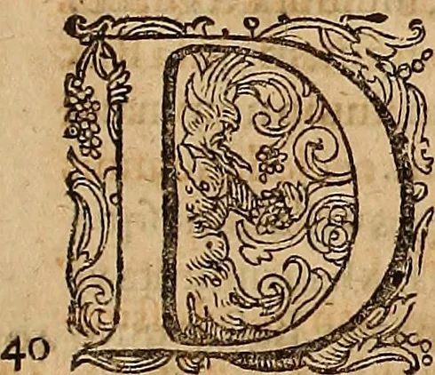 An illustration from Hispaniae illvstratæ; sev. Rervm. vrbivmq. Hispaniæ, Lvsitaniæ, Æthiopiæ et Indiæ scriptores varii., 1603, leaf 52