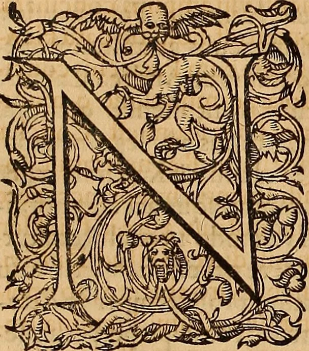 An illustration from Hispaniae illvstratæ; sev. Rervm. vrbivmq. Hispaniæ, Lvsitaniæ, Æthiopiæ et Indiæ scriptores varii., 1603, leaf 550