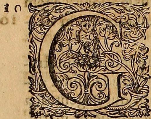 An illustration from Hispaniae illvstratæ; sev. Rervm. vrbivmq. Hispaniæ, Lvsitaniæ, Æthiopiæ et Indiæ scriptores varii., 1603, leaf 56