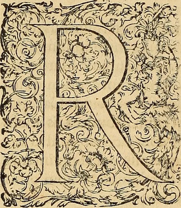 An illustration from Hispaniae illvstratæ; sev. Rervm. vrbivmq. Hispaniæ, Lvsitaniæ, Æthiopiæ et Indiæ scriptores varii., 1603, leaf 643
