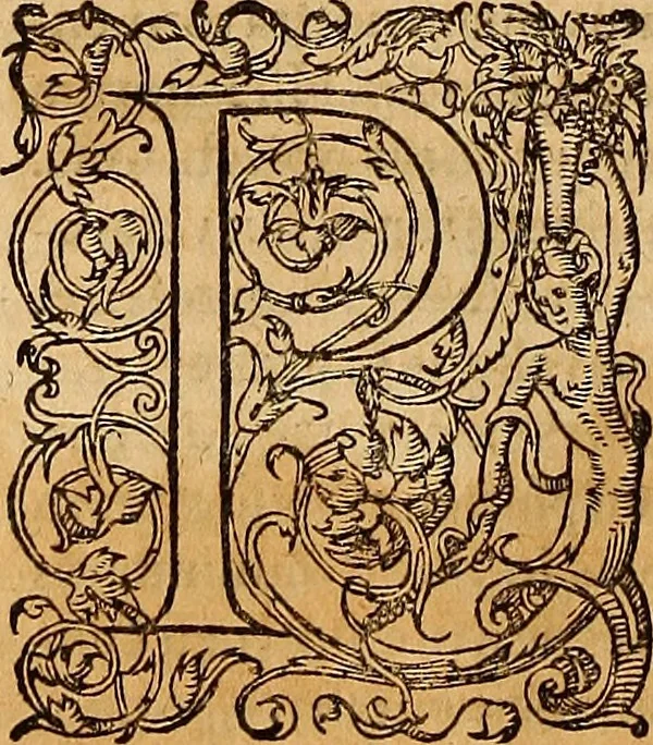 An illustration from Hispaniae illvstratæ; sev. Rervm. vrbivmq. Hispaniæ, Lvsitaniæ, Æthiopiæ et Indiæ scriptores varii., 1603, leaf 681