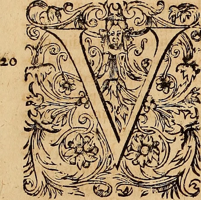 An illustration from Hispaniae illvstratæ; sev. Rervm. vrbivmq. Hispaniæ, Lvsitaniæ, Æthiopiæ et Indiæ scriptores varii., 1603, leaf 762