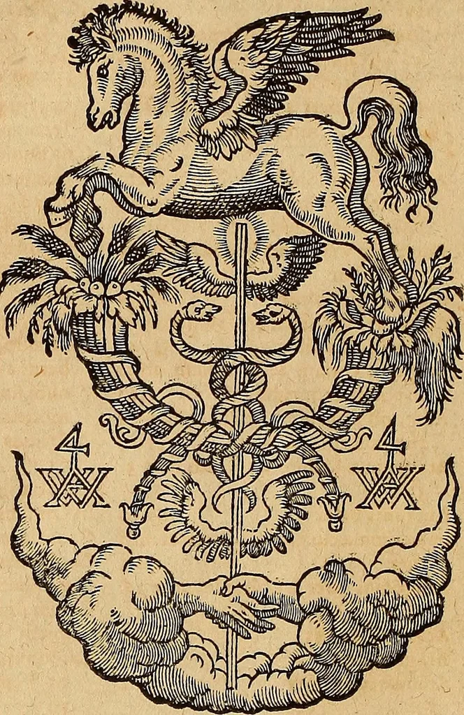 An illustration from Hispaniae illvstratæ; sev. Rervm. vrbivmq. Hispaniæ, Lvsitaniæ, Æthiopiæ et Indiæ scriptores varii., 1603, leaf 811
