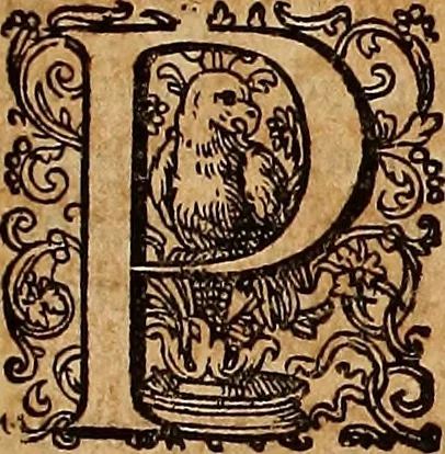 An illustration from Hispaniae illvstratæ; sev. Rervm. vrbivmq. Hispaniæ, Lvsitaniæ, Æthiopiæ et Indiæ scriptores varii., 1603, leaf 84