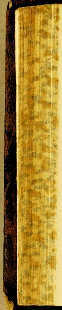 An illustration from Hispania, sive De regis Hispaniae regnis et opibus commentarius, 1629, leaf 262