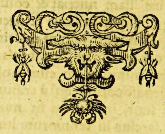 An illustration from Hispania, sive De regis Hispaniae regnis et opibus commentarius, 1629, leaf 524