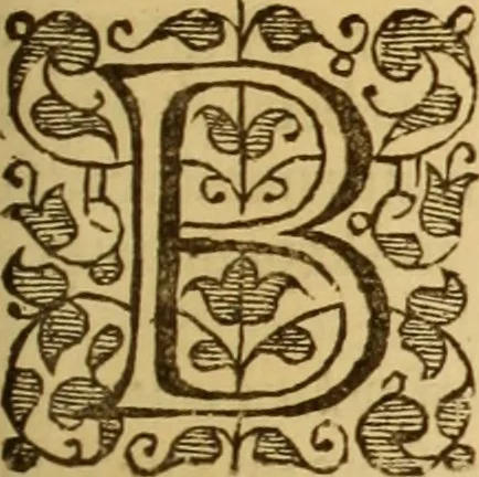 An illustration from The history of the Church of Scotland, beginning in the year of our Lord 203 and continued to the end of the reign of King James the VI of ever blessed memory :, 1655, leaf 242