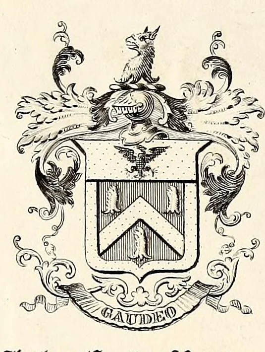 An illustration from Histoire Ameriquaine. : nouvelle comique & tragicomique, 1680, leaf 275