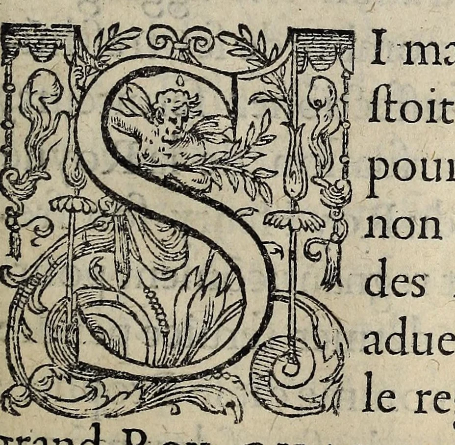 An illustration from Histoire contenant vn abregé de la vie, moeurs, et vertus du roy tres-chrestien et debonnaire Charles IX. vrayement piteux, propugnateur de la foy catholique, & amateur des bons esprits : où sont contenuës plusieurs choses merueilleuses, aduenues durant son regne, à bon droit dit le regne des merueilles /, 1574, leaf 13