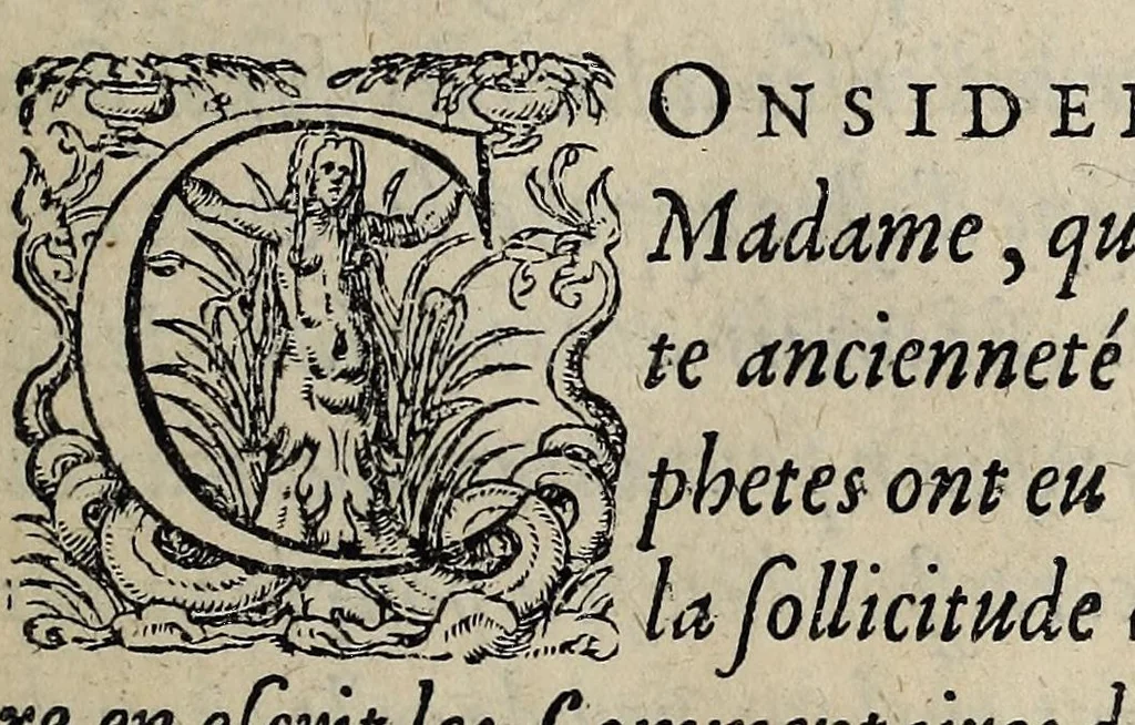 An illustration from Histoire contenant vn abregé de la vie, moeurs, et vertus du roy tres-chrestien et debonnaire Charles IX. vrayement piteux, propugnateur de la foy catholique, & amateur des bons esprits : où sont contenuës plusieurs choses merueilleuses, aduenues durant son regne, à bon droit dit le regne des merueilles /, 1574, leaf 7