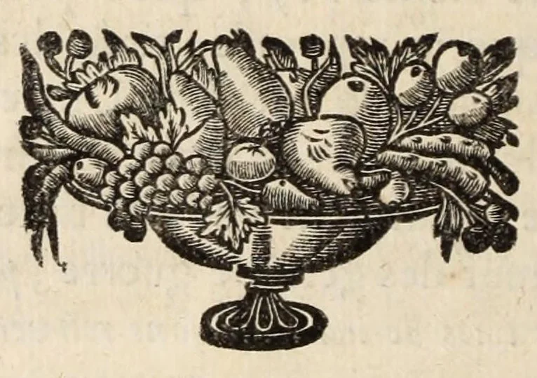 An illustration from Histoire contenant la naissance, le progres, la decadence, et la fin veritable du Calvinisme en France, 1689, leaf 20