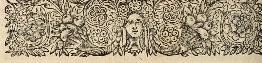 An illustration from Histoire contenant la naissance, le progres, la decadence, et la fin veritable du Calvinisme en France, 1689, leaf 272
