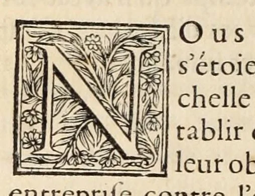 An illustration from Histoire contenant la naissance, le progres, la decadence, et la fin veritable du Calvinisme en France, 1689, leaf 272