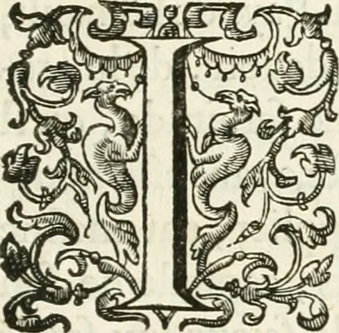 An illustration from Histoire curieuse de tout ce qui c'est passé a l'entree de la reyne mere du roy treschrestien dans les villes des Pays Bas;, 1632, leaf 14