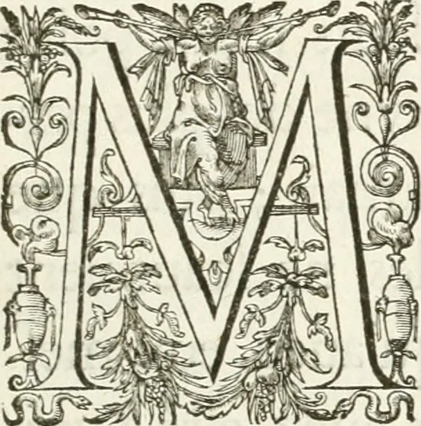 An illustration from Histoire curieuse de tout ce qui c'est passé a l'entree de la reyne mere du roy treschrestien dans les villes des Pays Bas;, 1632, leaf 8