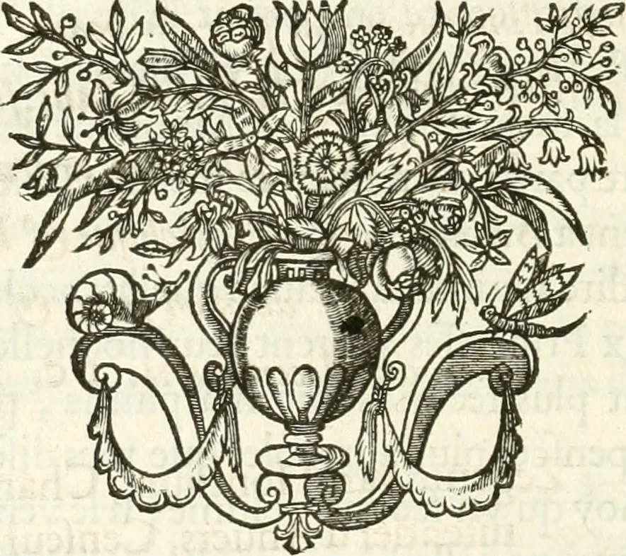 An illustration from Histoire curieuse de tout ce qui c'est passé a l'entree de la reyne mere du roy treschrestien dans les villes des Pays Bas;, 1632, leaf 87