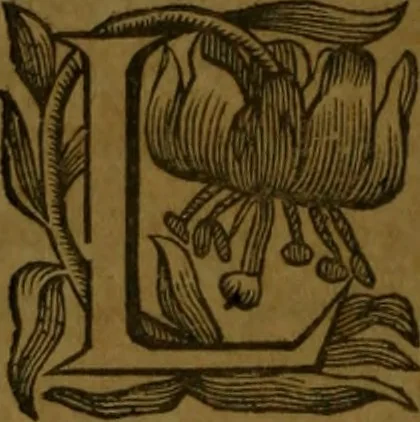 An illustration from Histoire de Barbarie, et de ses Corsaires. Des royavmes, et des villes d'Alger, de Tvnis, de Salé, [et] de Tripoly. Divisée en six livres. Ov il est traitté de levr govvernement, de leurs moeurs, de leurs cruautez, de leurs brigandages, de leurs sortileges, [et] de plusieurs autres particularitez remarquables. Ensemble des grandes miseres et des crvels tourmens qu'endurent les Chrestiens captifs parmy ces infideles, 1649, leaf 105