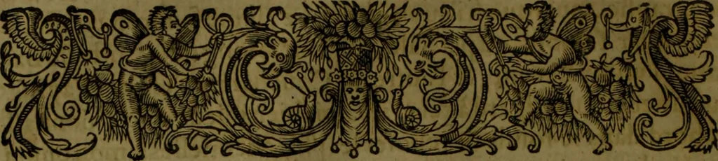 An illustration from Histoire de Barbarie, et de ses Corsaires. Des royavmes, et des villes d'Alger, de Tvnis, de Salé, [et] de Tripoly. Divisée en six livres. Ov il est traitté de levr govvernement, de leurs moeurs, de leurs cruautez, de leurs brigandages, de leurs sortileges, [et] de plusieurs autres particularitez remarquables. Ensemble des grandes miseres et des crvels tourmens qu'endurent les Chrestiens captifs parmy ces infideles, 1649, leaf 117