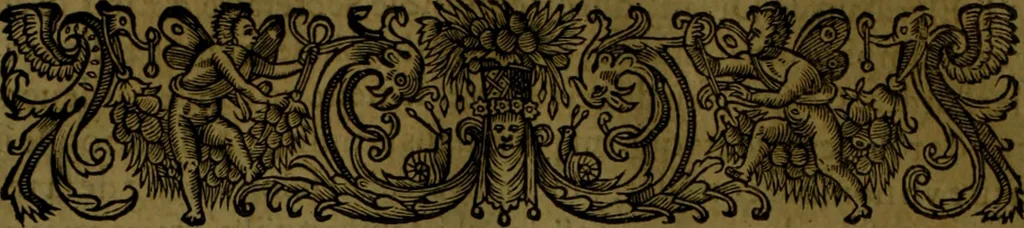 An illustration from Histoire de Barbarie, et de ses Corsaires. Des royavmes, et des villes d'Alger, de Tvnis, de Salé, [et] de Tripoly. Divisée en six livres. Ov il est traitté de levr govvernement, de leurs moeurs, de leurs cruautez, de leurs brigandages, de leurs sortileges, [et] de plusieurs autres particularitez remarquables. Ensemble des grandes miseres et des crvels tourmens qu'endurent les Chrestiens captifs parmy ces infideles, 1649, leaf 127