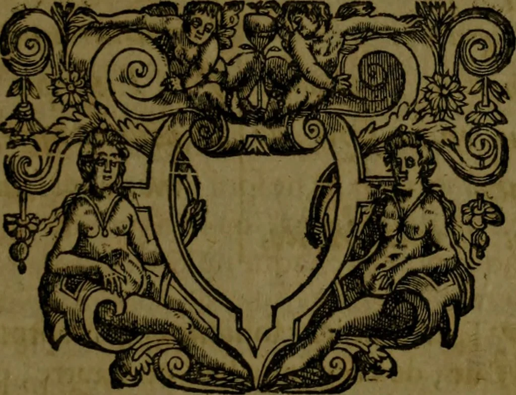 An illustration from Histoire de Barbarie, et de ses Corsaires. Des royavmes, et des villes d'Alger, de Tvnis, de Salé, [et] de Tripoly. Divisée en six livres. Ov il est traitté de levr govvernement, de leurs moeurs, de leurs cruautez, de leurs brigandages, de leurs sortileges, [et] de plusieurs autres particularitez remarquables. Ensemble des grandes miseres et des crvels tourmens qu'endurent les Chrestiens captifs parmy ces infideles, 1649, leaf 134