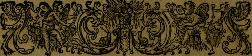 An illustration from Histoire de Barbarie, et de ses Corsaires. Des royavmes, et des villes d'Alger, de Tvnis, de Salé, [et] de Tripoly. Divisée en six livres. Ov il est traitté de levr govvernement, de leurs moeurs, de leurs cruautez, de leurs brigandages, de leurs sortileges, [et] de plusieurs autres particularitez remarquables. Ensemble des grandes miseres et des crvels tourmens qu'endurent les Chrestiens captifs parmy ces infideles, 1649, leaf 135