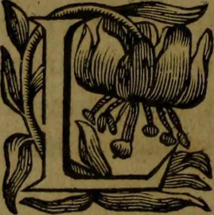 An illustration from Histoire de Barbarie, et de ses Corsaires. Des royavmes, et des villes d'Alger, de Tvnis, de Salé, [et] de Tripoly. Divisée en six livres. Ov il est traitté de levr govvernement, de leurs moeurs, de leurs cruautez, de leurs brigandages, de leurs sortileges, [et] de plusieurs autres particularitez remarquables. Ensemble des grandes miseres et des crvels tourmens qu'endurent les Chrestiens captifs parmy ces infideles, 1649, leaf 135