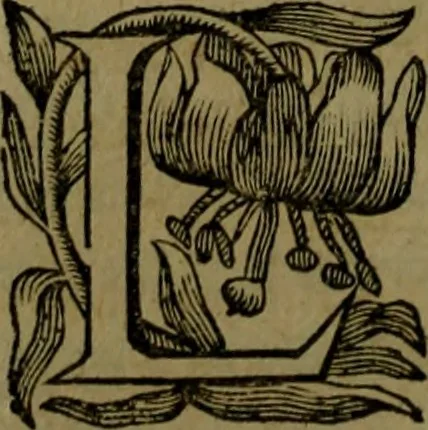 An illustration from Histoire de Barbarie, et de ses Corsaires. Des royavmes, et des villes d'Alger, de Tvnis, de Salé, [et] de Tripoly. Divisée en six livres. Ov il est traitté de levr govvernement, de leurs moeurs, de leurs cruautez, de leurs brigandages, de leurs sortileges, [et] de plusieurs autres particularitez remarquables. Ensemble des grandes miseres et des crvels tourmens qu'endurent les Chrestiens captifs parmy ces infideles, 1649, leaf 141