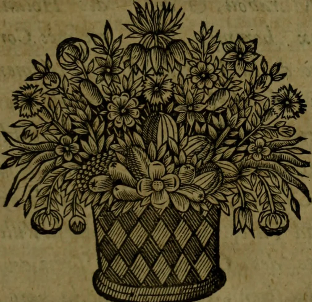 An illustration from Histoire de Barbarie, et de ses Corsaires. Des royavmes, et des villes d'Alger, de Tvnis, de Salé, [et] de Tripoly. Divisée en six livres. Ov il est traitté de levr govvernement, de leurs moeurs, de leurs cruautez, de leurs brigandages, de leurs sortileges, [et] de plusieurs autres particularitez remarquables. Ensemble des grandes miseres et des crvels tourmens qu'endurent les Chrestiens captifs parmy ces infideles, 1649, leaf 144