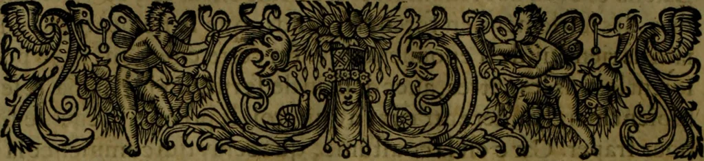 An illustration from Histoire de Barbarie, et de ses Corsaires. Des royavmes, et des villes d'Alger, de Tvnis, de Salé, [et] de Tripoly. Divisée en six livres. Ov il est traitté de levr govvernement, de leurs moeurs, de leurs cruautez, de leurs brigandages, de leurs sortileges, [et] de plusieurs autres particularitez remarquables. Ensemble des grandes miseres et des crvels tourmens qu'endurent les Chrestiens captifs parmy ces infideles, 1649, leaf 145