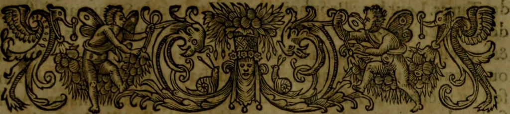 An illustration from Histoire de Barbarie, et de ses Corsaires. Des royavmes, et des villes d'Alger, de Tvnis, de Salé, [et] de Tripoly. Divisée en six livres. Ov il est traitté de levr govvernement, de leurs moeurs, de leurs cruautez, de leurs brigandages, de leurs sortileges, [et] de plusieurs autres particularitez remarquables. Ensemble des grandes miseres et des crvels tourmens qu'endurent les Chrestiens captifs parmy ces infideles, 1649, leaf 196