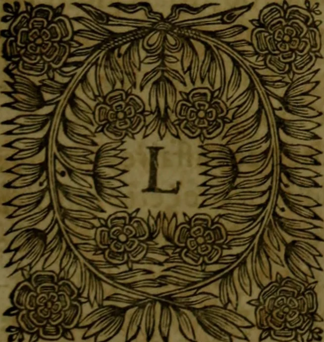 An illustration from Histoire de Barbarie, et de ses Corsaires. Des royavmes, et des villes d'Alger, de Tvnis, de Salé, [et] de Tripoly. Divisée en six livres. Ov il est traitté de levr govvernement, de leurs moeurs, de leurs cruautez, de leurs brigandages, de leurs sortileges, [et] de plusieurs autres particularitez remarquables. Ensemble des grandes miseres et des crvels tourmens qu'endurent les Chrestiens captifs parmy ces infideles, 1649, leaf 196