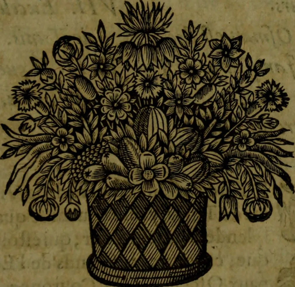 An illustration from Histoire de Barbarie, et de ses Corsaires. Des royavmes, et des villes d'Alger, de Tvnis, de Salé, [et] de Tripoly. Divisée en six livres. Ov il est traitté de levr govvernement, de leurs moeurs, de leurs cruautez, de leurs brigandages, de leurs sortileges, [et] de plusieurs autres particularitez remarquables. Ensemble des grandes miseres et des crvels tourmens qu'endurent les Chrestiens captifs parmy ces infideles, 1649, leaf 202