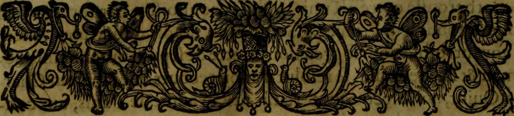 An illustration from Histoire de Barbarie, et de ses Corsaires. Des royavmes, et des villes d'Alger, de Tvnis, de Salé, [et] de Tripoly. Divisée en six livres. Ov il est traitté de levr govvernement, de leurs moeurs, de leurs cruautez, de leurs brigandages, de leurs sortileges, [et] de plusieurs autres particularitez remarquables. Ensemble des grandes miseres et des crvels tourmens qu'endurent les Chrestiens captifs parmy ces infideles, 1649, leaf 203