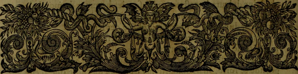 An illustration from Histoire de Barbarie, et de ses Corsaires. Des royavmes, et des villes d'Alger, de Tvnis, de Salé, [et] de Tripoly. Divisée en six livres. Ov il est traitté de levr govvernement, de leurs moeurs, de leurs cruautez, de leurs brigandages, de leurs sortileges, [et] de plusieurs autres particularitez remarquables. Ensemble des grandes miseres et des crvels tourmens qu'endurent les Chrestiens captifs parmy ces infideles, 1649, leaf 207
