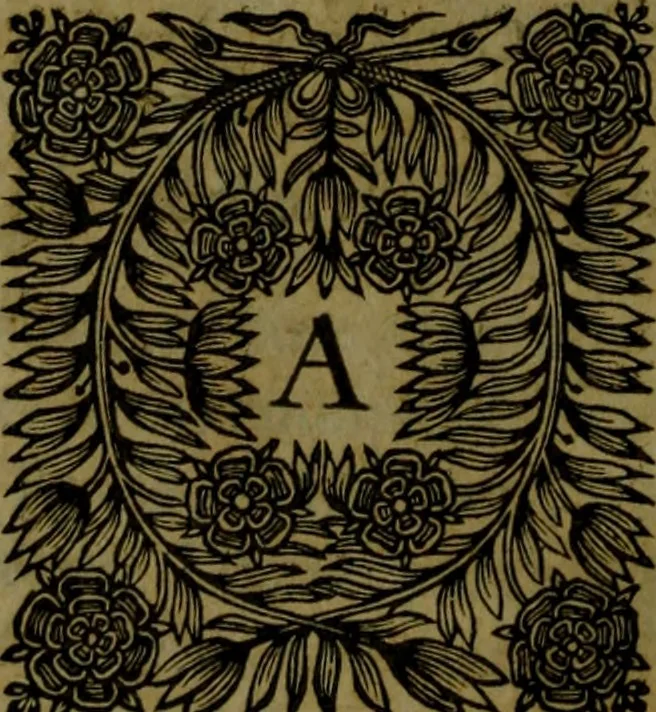 An illustration from Histoire de Barbarie, et de ses Corsaires. Des royavmes, et des villes d'Alger, de Tvnis, de Salé, [et] de Tripoly. Divisée en six livres. Ov il est traitté de levr govvernement, de leurs moeurs, de leurs cruautez, de leurs brigandages, de leurs sortileges, [et] de plusieurs autres particularitez remarquables. Ensemble des grandes miseres et des crvels tourmens qu'endurent les Chrestiens captifs parmy ces infideles, 1649, leaf 207