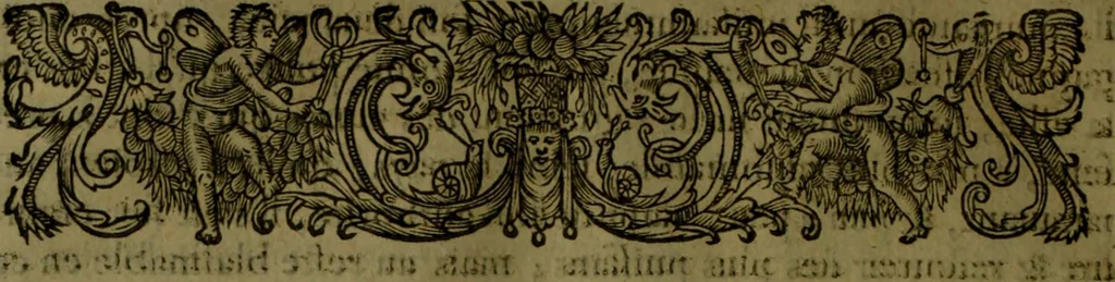 An illustration from Histoire de Barbarie, et de ses Corsaires. Des royavmes, et des villes d'Alger, de Tvnis, de Salé, [et] de Tripoly. Divisée en six livres. Ov il est traitté de levr govvernement, de leurs moeurs, de leurs cruautez, de leurs brigandages, de leurs sortileges, [et] de plusieurs autres particularitez remarquables. Ensemble des grandes miseres et des crvels tourmens qu'endurent les Chrestiens captifs parmy ces infideles, 1649, leaf 213