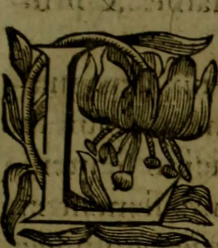 An illustration from Histoire de Barbarie, et de ses Corsaires. Des royavmes, et des villes d'Alger, de Tvnis, de Salé, [et] de Tripoly. Divisée en six livres. Ov il est traitté de levr govvernement, de leurs moeurs, de leurs cruautez, de leurs brigandages, de leurs sortileges, [et] de plusieurs autres particularitez remarquables. Ensemble des grandes miseres et des crvels tourmens qu'endurent les Chrestiens captifs parmy ces infideles, 1649, leaf 214