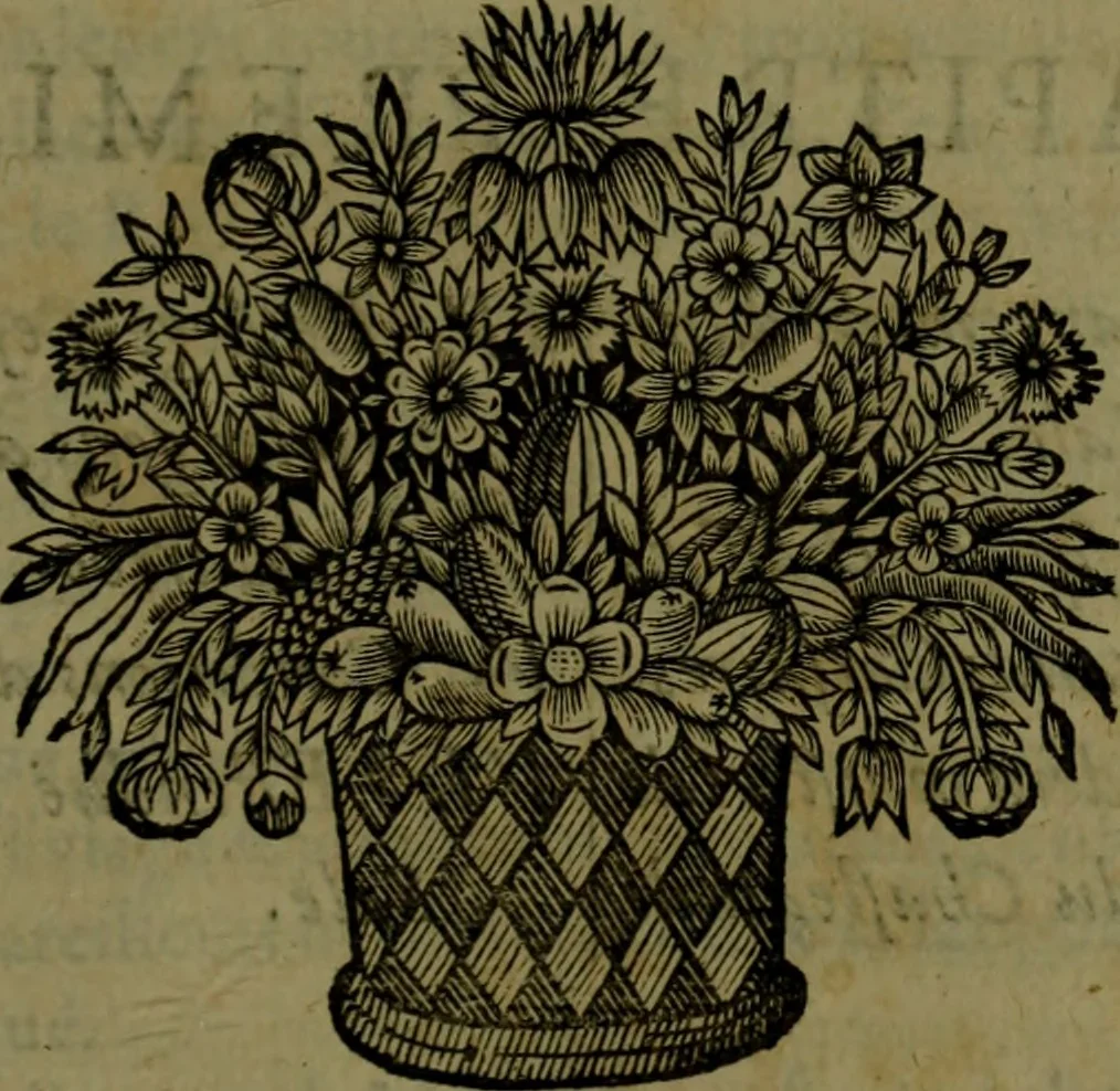 An illustration from Histoire de Barbarie, et de ses Corsaires. Des royavmes, et des villes d'Alger, de Tvnis, de Salé, [et] de Tripoly. Divisée en six livres. Ov il est traitté de levr govvernement, de leurs moeurs, de leurs cruautez, de leurs brigandages, de leurs sortileges, [et] de plusieurs autres particularitez remarquables. Ensemble des grandes miseres et des crvels tourmens qu'endurent les Chrestiens captifs parmy ces infideles, 1649, leaf 242