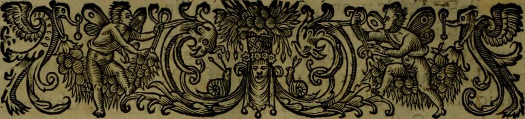An illustration from Histoire de Barbarie, et de ses Corsaires. Des royavmes, et des villes d'Alger, de Tvnis, de Salé, [et] de Tripoly. Divisée en six livres. Ov il est traitté de levr govvernement, de leurs moeurs, de leurs cruautez, de leurs brigandages, de leurs sortileges, [et] de plusieurs autres particularitez remarquables. Ensemble des grandes miseres et des crvels tourmens qu'endurent les Chrestiens captifs parmy ces infideles, 1649, leaf 243
