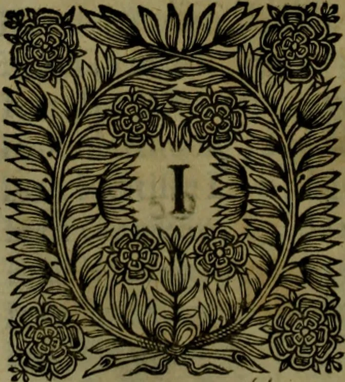 An illustration from Histoire de Barbarie, et de ses Corsaires. Des royavmes, et des villes d'Alger, de Tvnis, de Salé, [et] de Tripoly. Divisée en six livres. Ov il est traitté de levr govvernement, de leurs moeurs, de leurs cruautez, de leurs brigandages, de leurs sortileges, [et] de plusieurs autres particularitez remarquables. Ensemble des grandes miseres et des crvels tourmens qu'endurent les Chrestiens captifs parmy ces infideles, 1649, leaf 243
