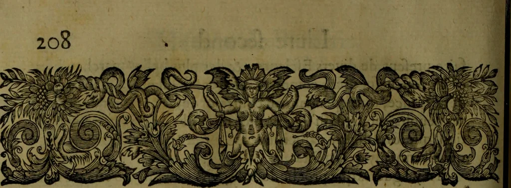An illustration from Histoire de Barbarie, et de ses Corsaires. Des royavmes, et des villes d'Alger, de Tvnis, de Salé, [et] de Tripoly. Divisée en six livres. Ov il est traitté de levr govvernement, de leurs moeurs, de leurs cruautez, de leurs brigandages, de leurs sortileges, [et] de plusieurs autres particularitez remarquables. Ensemble des grandes miseres et des crvels tourmens qu'endurent les Chrestiens captifs parmy ces infideles, 1649, leaf 249