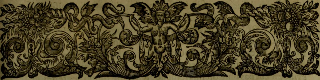 An illustration from Histoire de Barbarie, et de ses Corsaires. Des royavmes, et des villes d'Alger, de Tvnis, de Salé, [et] de Tripoly. Divisée en six livres. Ov il est traitté de levr govvernement, de leurs moeurs, de leurs cruautez, de leurs brigandages, de leurs sortileges, [et] de plusieurs autres particularitez remarquables. Ensemble des grandes miseres et des crvels tourmens qu'endurent les Chrestiens captifs parmy ces infideles, 1649, leaf 252