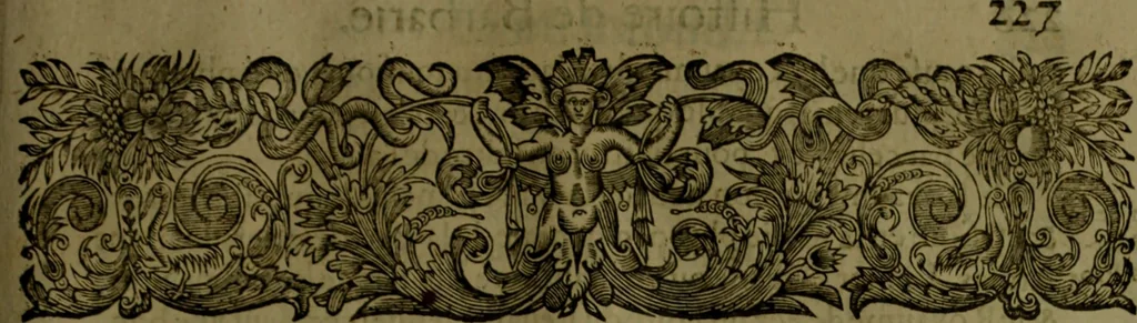 An illustration from Histoire de Barbarie, et de ses Corsaires. Des royavmes, et des villes d'Alger, de Tvnis, de Salé, [et] de Tripoly. Divisée en six livres. Ov il est traitté de levr govvernement, de leurs moeurs, de leurs cruautez, de leurs brigandages, de leurs sortileges, [et] de plusieurs autres particularitez remarquables. Ensemble des grandes miseres et des crvels tourmens qu'endurent les Chrestiens captifs parmy ces infideles, 1649, leaf 268